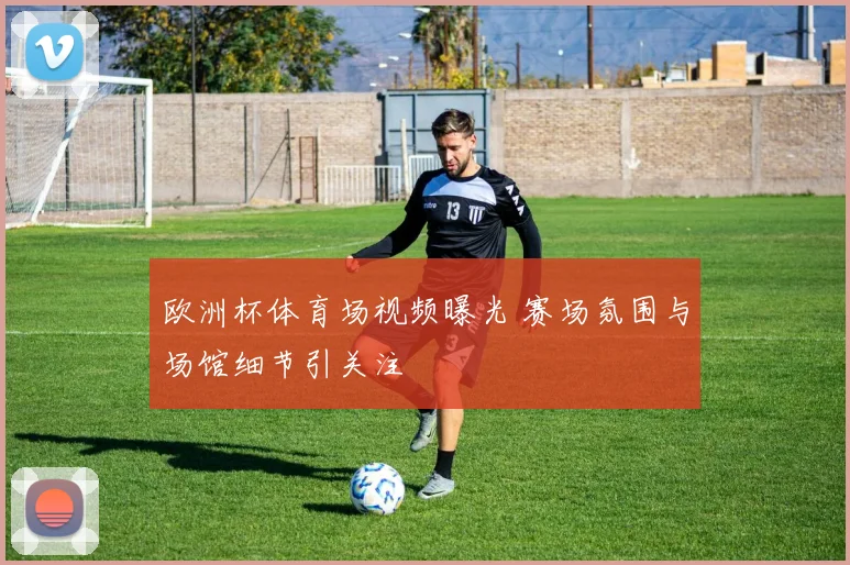 欧洲杯体育场视频曝光 赛场氛围与场馆细节引关注