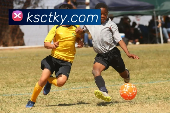 世界杯开户平台服务体系